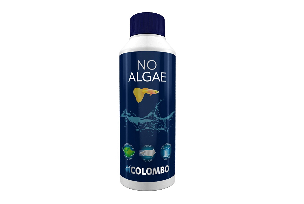 Colombo No Algae - Algenmiddelen - 250 ml