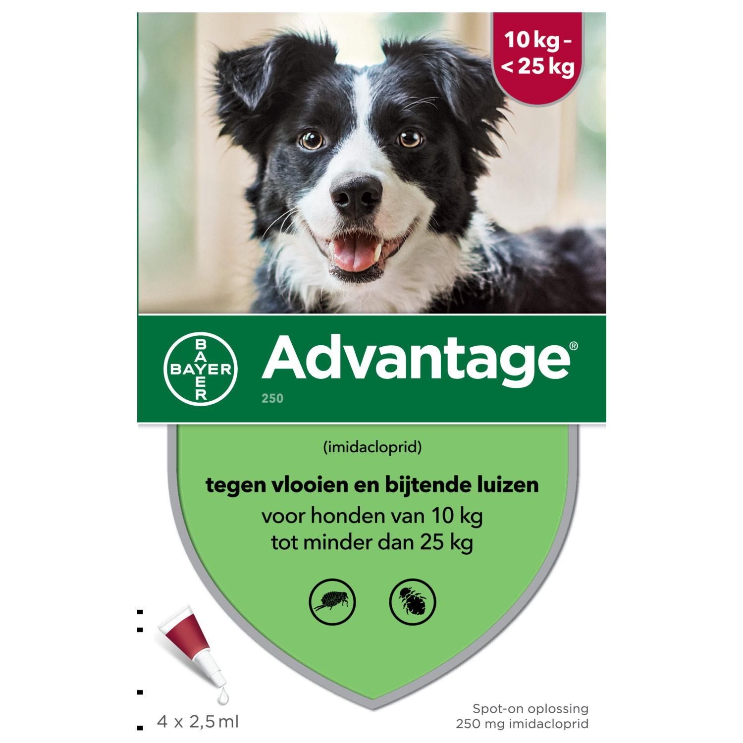 Advantage Hond 4 pip - Anti vlooien en luizenmiddel - 2.5 ml 10-25kg