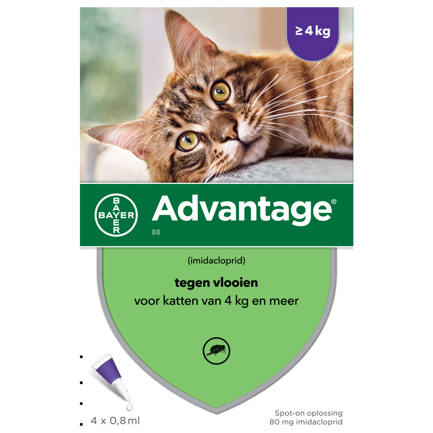 Advantage Kat 4 pip - Anti vlooienmiddel - 0.8 ml > 4 Kg