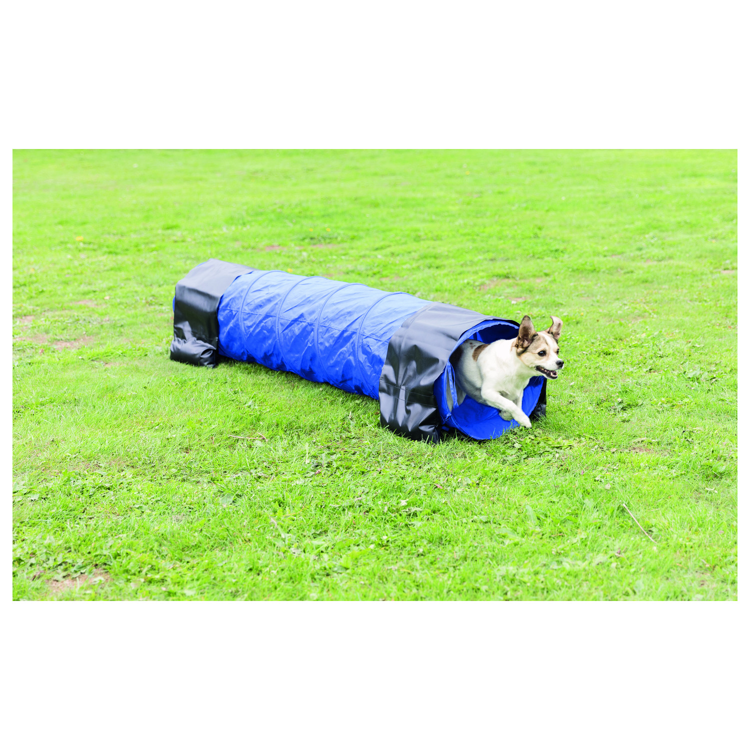 Trixie Dog Activity Agility Tunnel - Hondensport - 40x200 cm Blauw