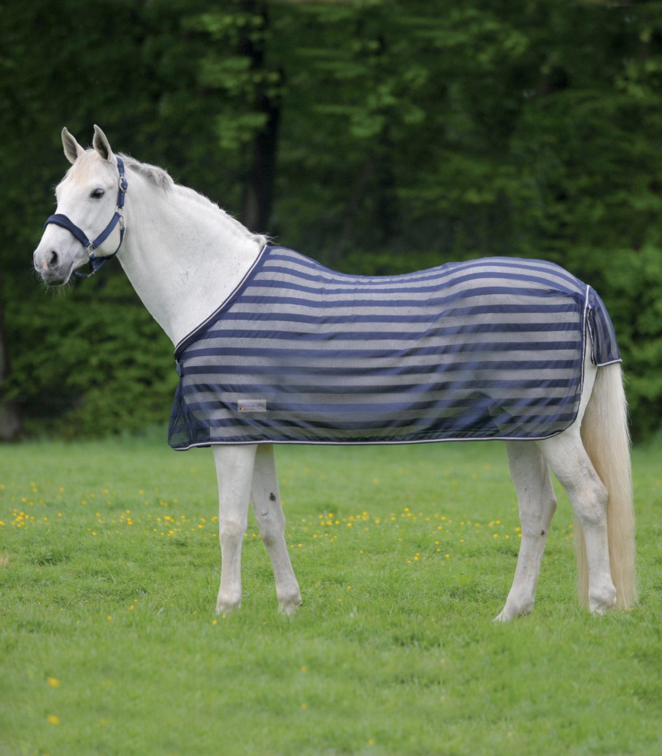 Waldhausen Basis Vliegendeken Blauw - Anti insect - 175