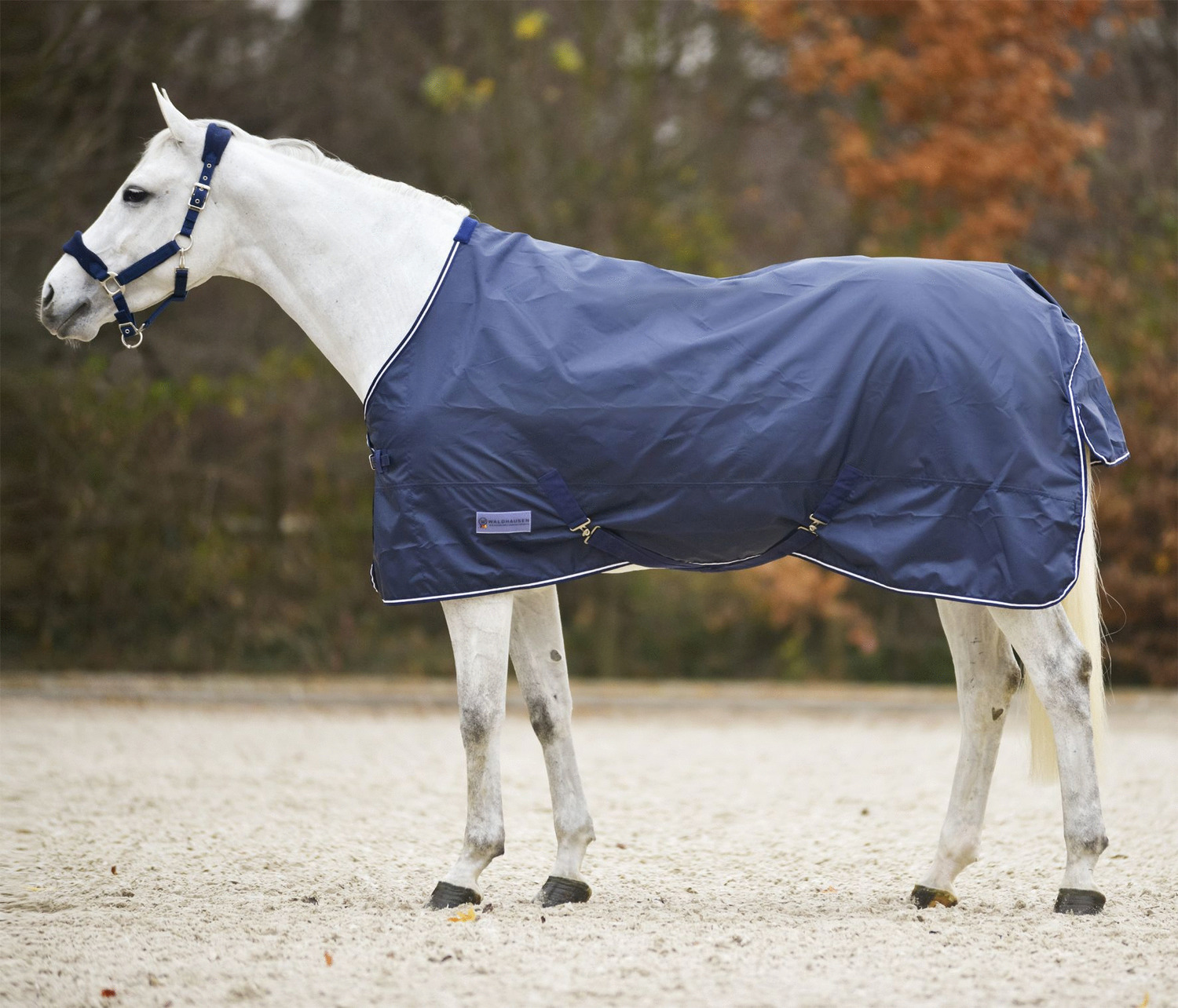 Waldhausen Regendeken Economic Blauw - Paardendekens - 135 cm