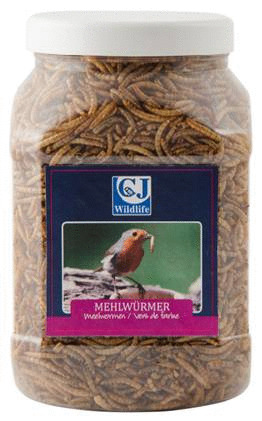 Wildbird Meelwormen In Pot - Voer - 440 g