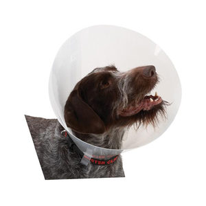 Buster Transparent Classic Collar - Maat 5