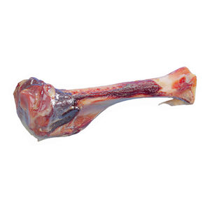 Nobby Parmabeen - 17 cm - 1 stuk